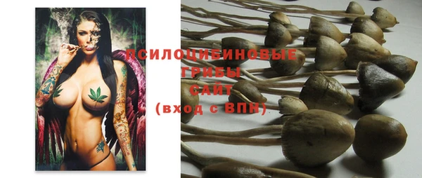 мяу мяу мука Снежногорск